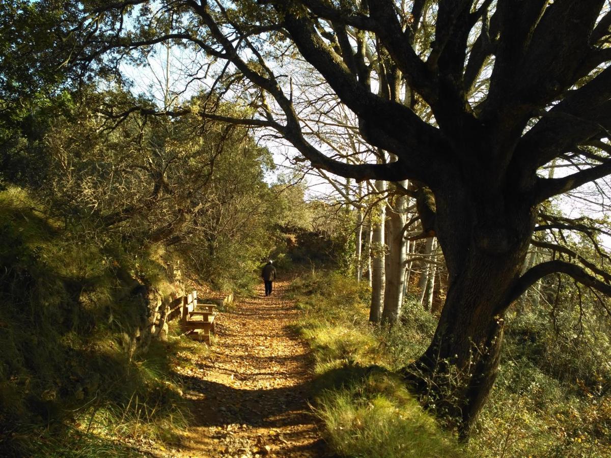 Natura Jordan Murillo de Gállego Esterno foto
