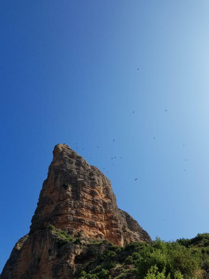 Natura Jordan Murillo de Gállego Esterno foto